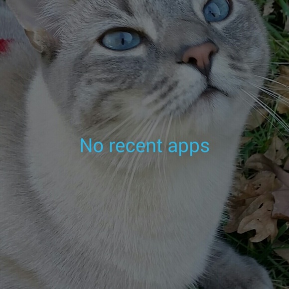 Meet your Posher, Theresa