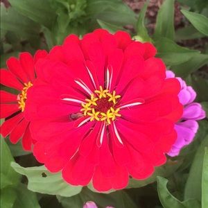 Meet your Posher, Jayden