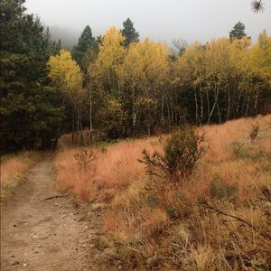 Meet your Posher, Lynsey