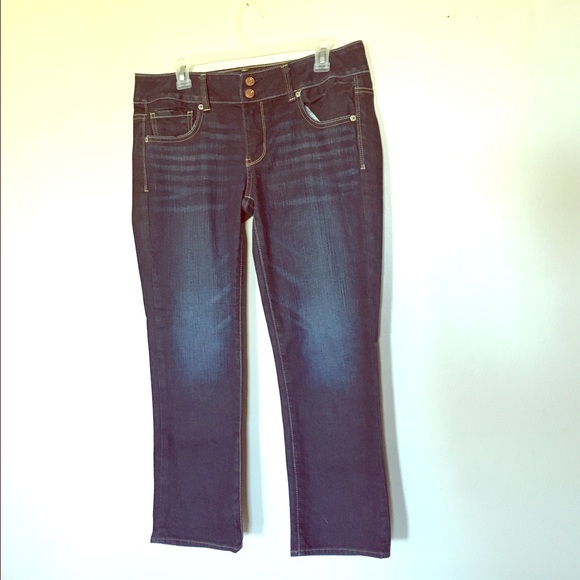 AEO Artist Cropped NWOT