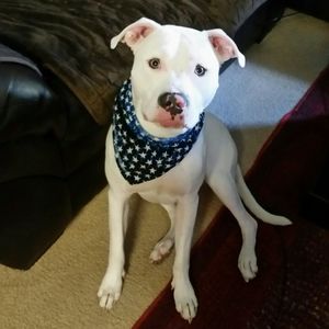 Meet your Posher, Connie