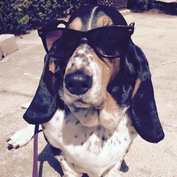 Meet your Posher, Dena - Picture 1 of 1