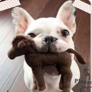 Meet your Posher, Yuki