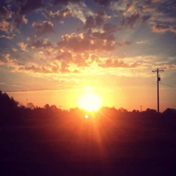 Meet your Posher, Kayla - Picture 1 of 1