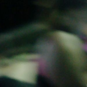 Meet your Posher, Paula