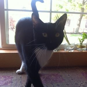 Meet your Posher, Alyssa