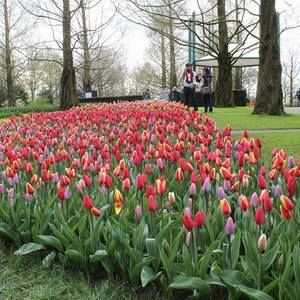 Meet your Posher, Ellen