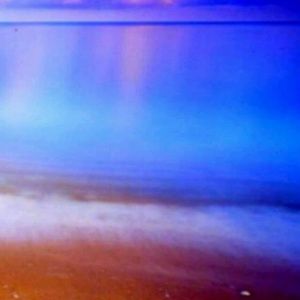 Meet your Posher, Isabellah