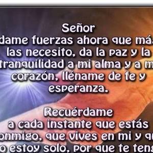 Meet your Posher, Paola