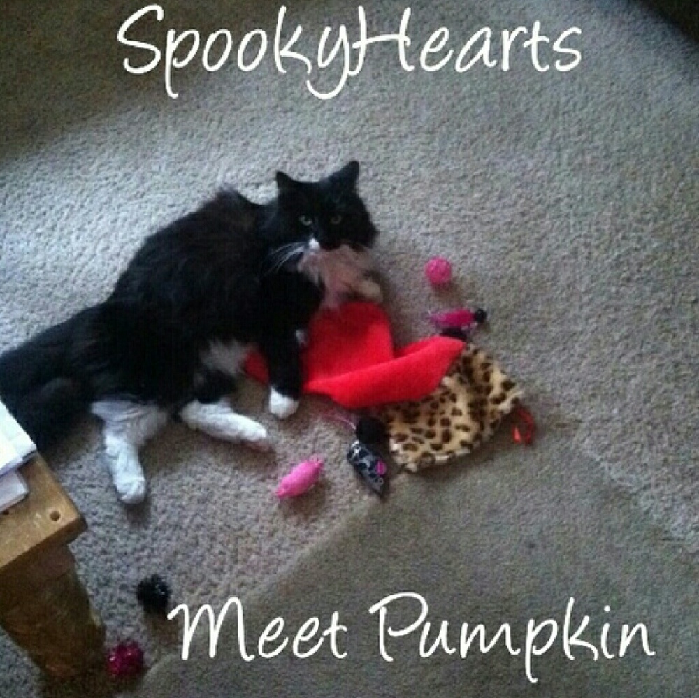 ***Spooky Hearts   ****  Pumpkin pie 2015