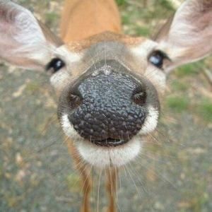 Meet your Posher, Jan