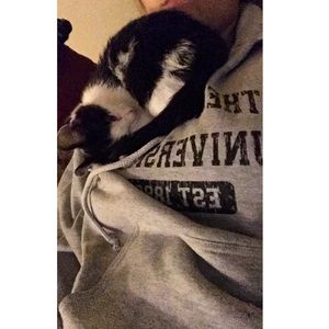 Meet your Posher, Sam