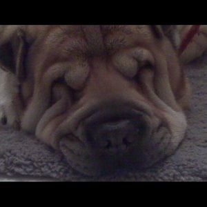 Meet your Posher, Karla