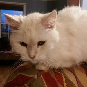 Meet your Posher, Natalia