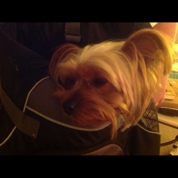 Meet your Posher, Jill - Picture 1 of 1