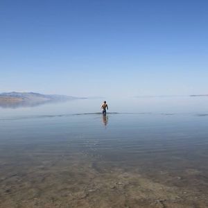 Meet your Posher, Patrick