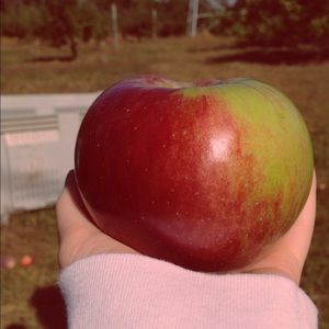 Meet your Posher, Carrie