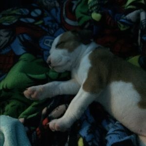 Meet your Posher, Allison