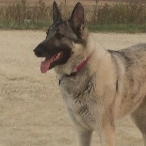 Meet your Posher, Sue