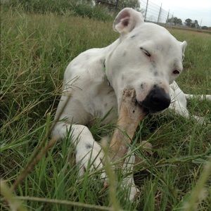 Meet your Posher, Jacey