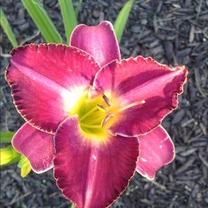 Meet your Posher, Erin