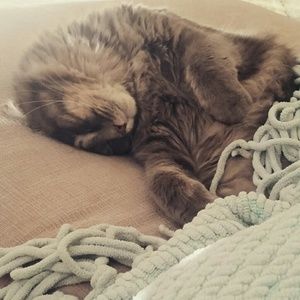 Meet your Posher, Laura