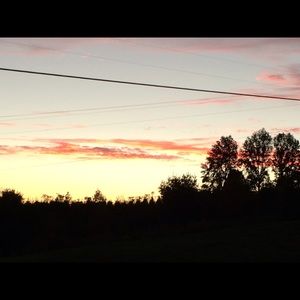 Meet your Posher, Cheyenne