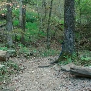 Meet your Posher, Liz