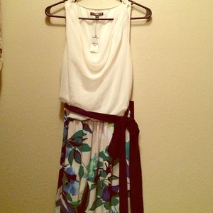 EXPRESS dress