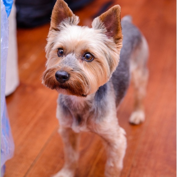 Meet your Posher, B - Picture 1 of 1