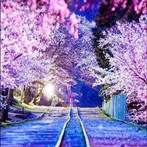 Meet your Posher, Erika