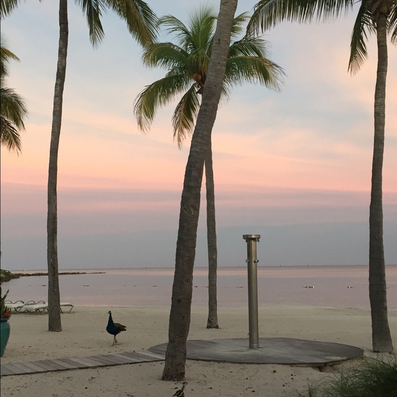 Meet your Posher, Ashlea - Picture 2 of 2