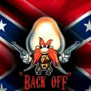 Meet your Posher, Misty