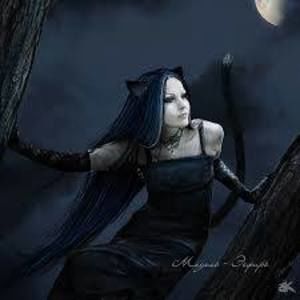 Meet your Posher, Catrina