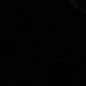 Meet your Posher, Rosa