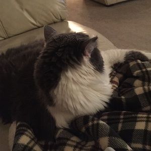 Meet your Posher, Tammy