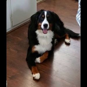 Meet your Posher, Sue