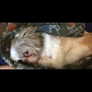 Meet your Posher, Beth