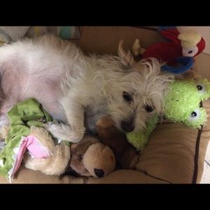 Meet your Posher, Chloe