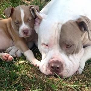 Meet your Posher, Charitie