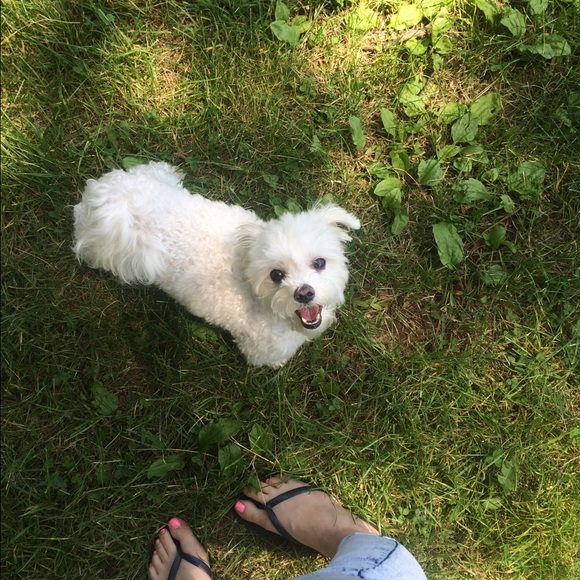 🎀Meet your posher Elaine - Picture 3 of 4