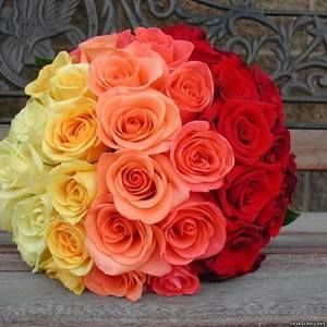 Meet your Posher, Carolyn