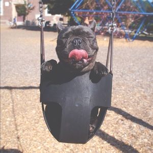 Meet your Posher, Anthony