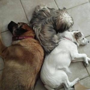 Meet your Posher, Lindsey