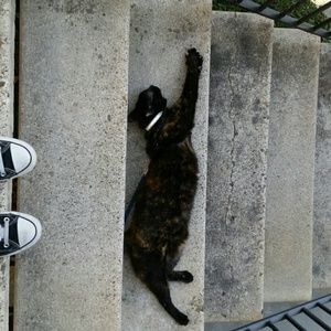 Meet your Posher, Karen