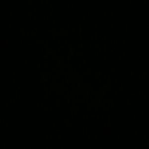 Meet your Posher, Jordyn