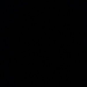 Meet your Posher, Lou