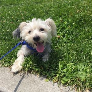 Meet your Posher, Willie