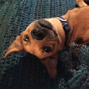 Meet your Posher, Megan