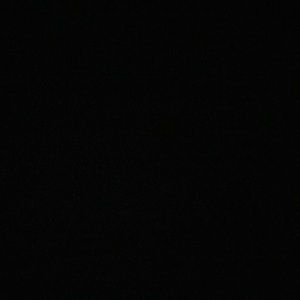 Meet your Posher, Gloria